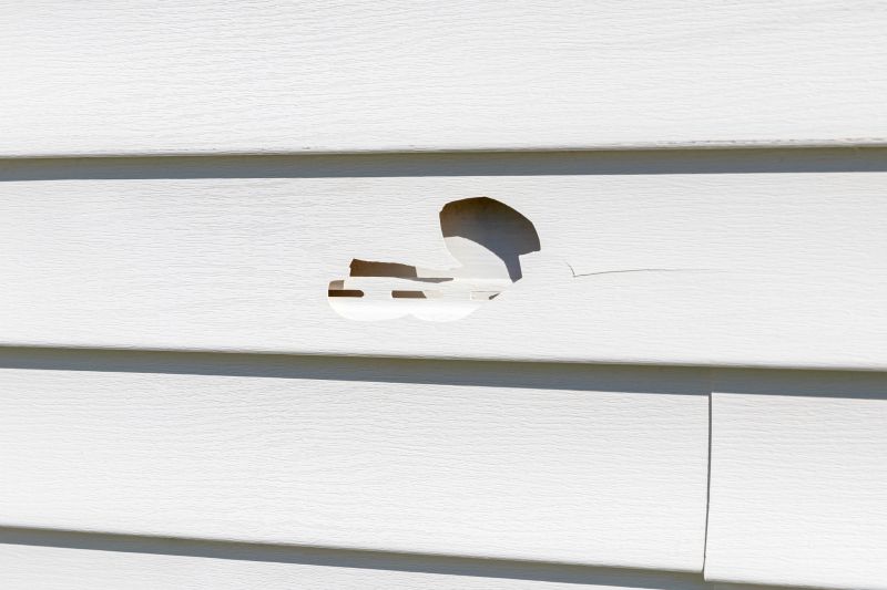 Sealing Cracks in Vinyl Siding